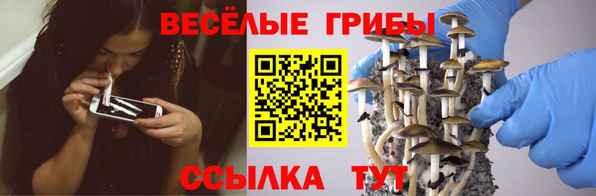 Галлюциногенные грибы ЛСД Нижний Тагил